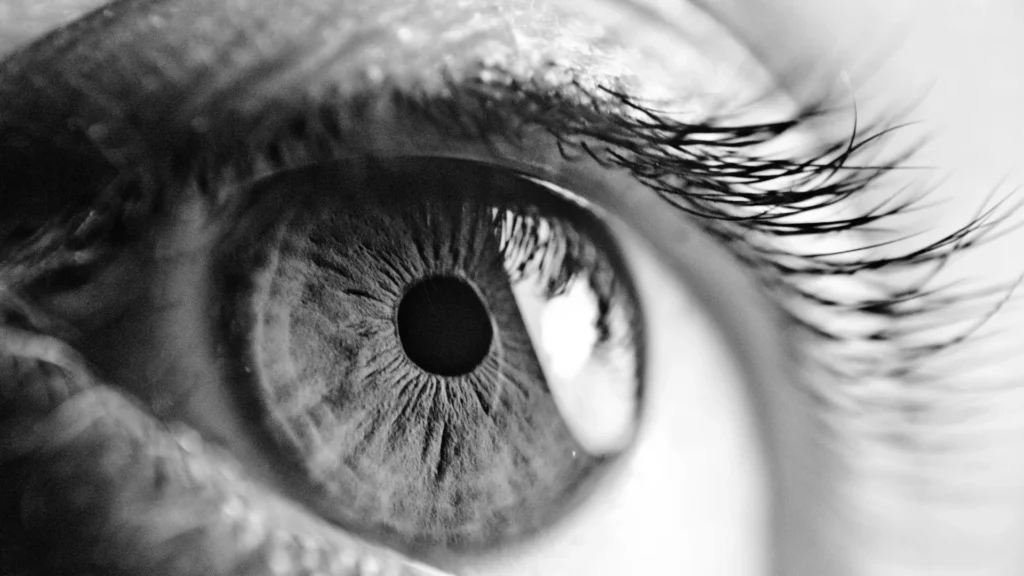 Eyes 